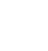 DIGITAL CX